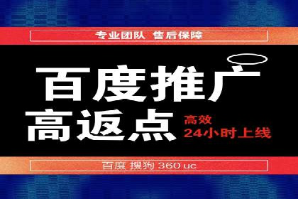 竞价推广实战：案例分析行业领军企业的成功之道